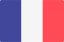 French flag