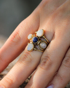 Cosmic Orbit Ring